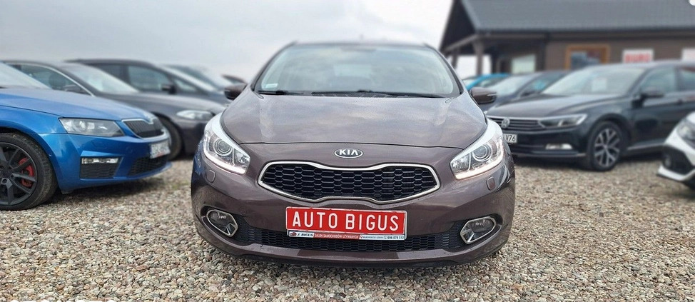 Kia Ceed cena 36900 przebieg: 213000, rok produkcji 2012 z Bielsko-Biała małe 232